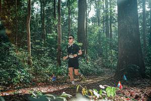 BIB: 
                            <button type="button" onclick="openModal(26075419)" class="btn btn-primary btn-sm float-right btn-popup" data-toggle="modal" data-target=".modal-high-quality">
                        <i class="fas fa-shopping-cart"></i> Add to Cart
                    </button>
                                            <button type="button" onclick="isThisMe(26075419, true)" class="btn btn-success btn-sm float-right btn-popup btn-isme hidden" data-toggle="tooltip" data-placement="bottom" title="นี่คือรูปของคุณใช่ไหม คลิกที่นี่เพื่อเอาเข้าอัลบั้ม">
                        <i class="fas fa-plus"></i> Add to album
                    </button>
                    <button type="button" onclick="isThisMe(26075419, false)" class="btn btn-warning btn-sm float-right btn-popup btn-isnotme hidden">
                        <i class="fas fa-ban"></i> Remove from album
                    </button>